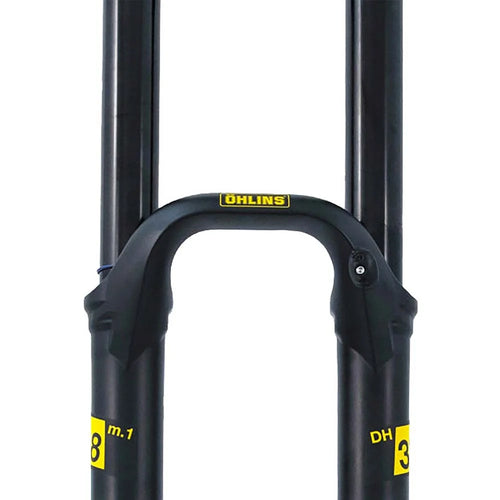 Horquilla OHLINS DH38 M.1 29in 180mm Offset TTX18