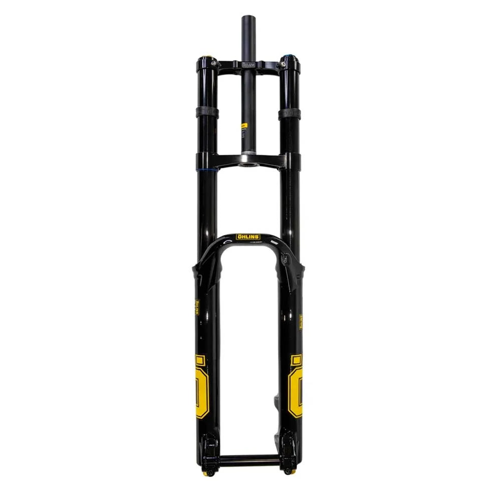 Horquilla OHLINS DH38 M.2 29in TTX18 Air 200mm